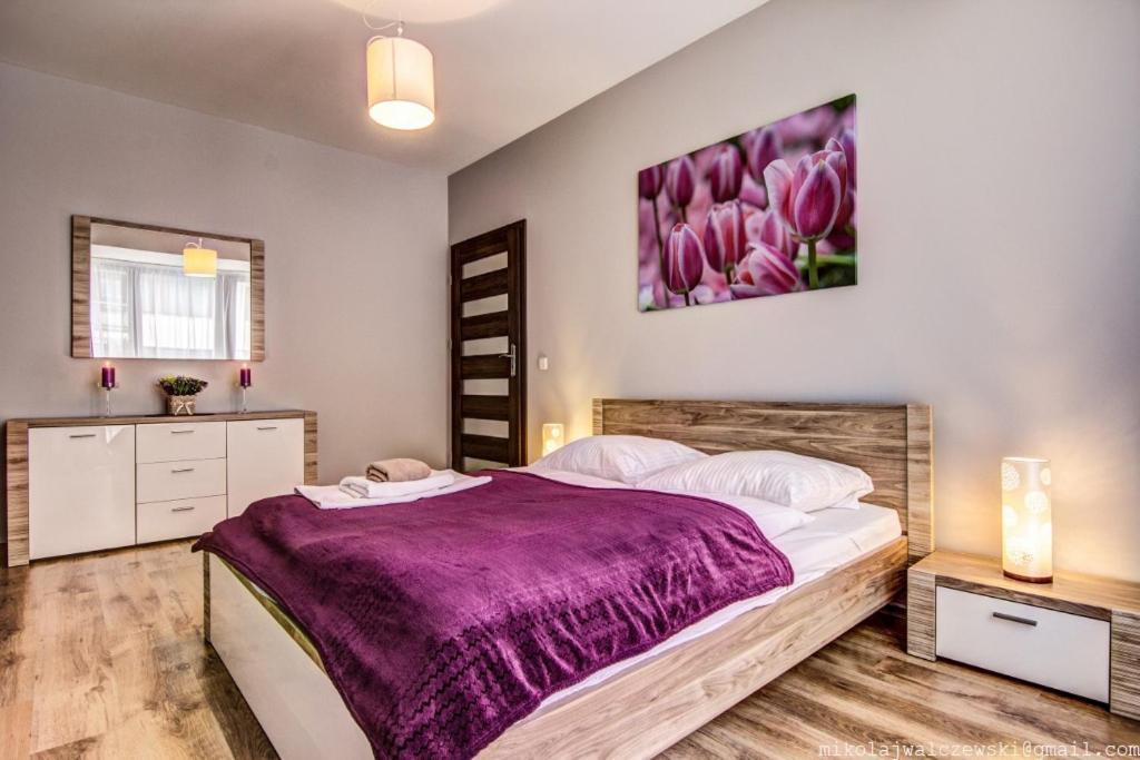 Apartamenty Oaza Deluxe ザコパネ エクステリア 写真
