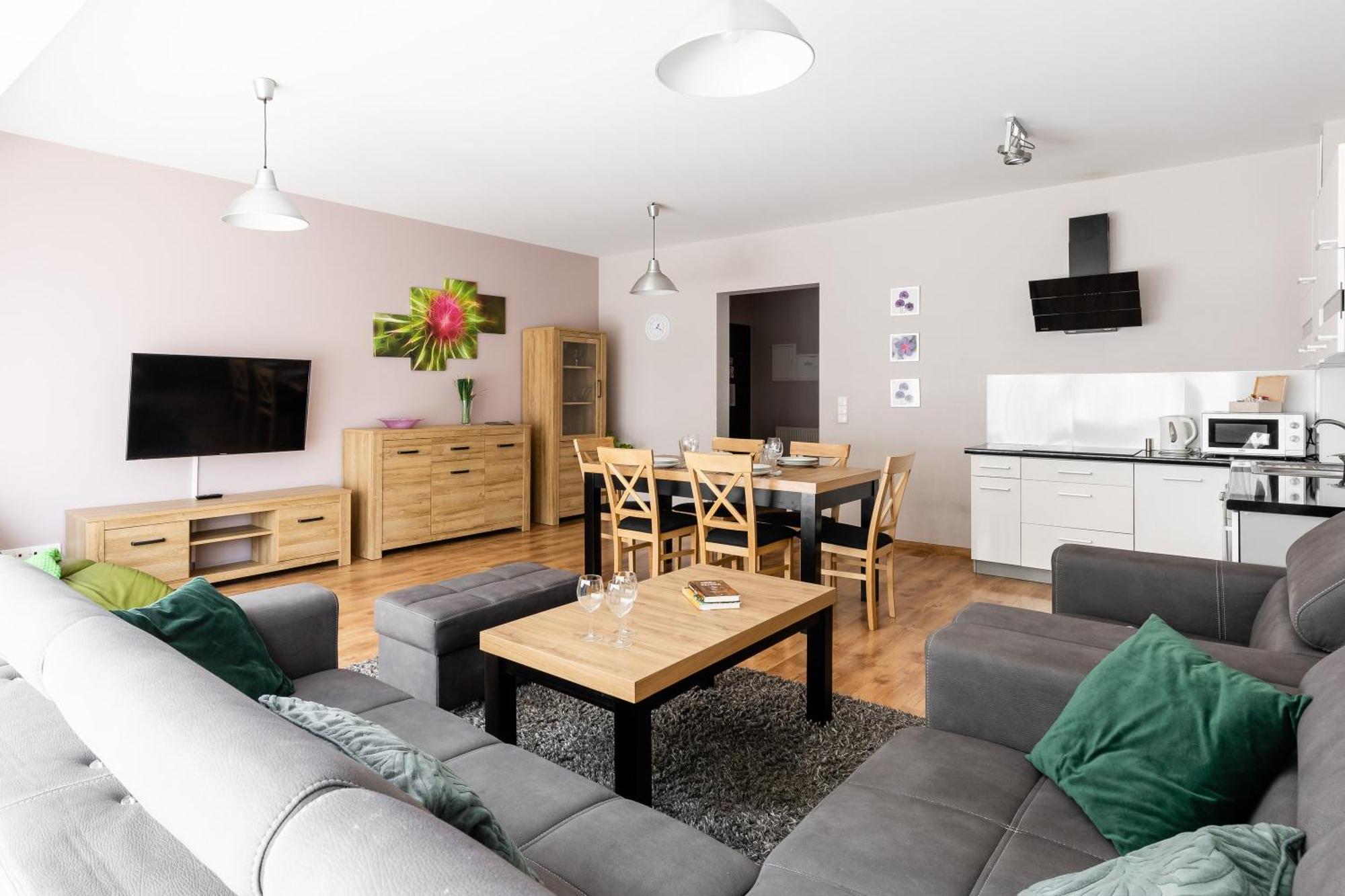 Apartamenty Oaza Deluxe ザコパネ エクステリア 写真
